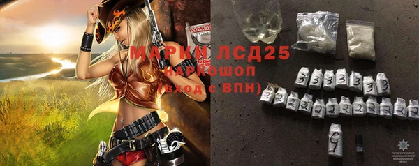эйфоретик Вяземский