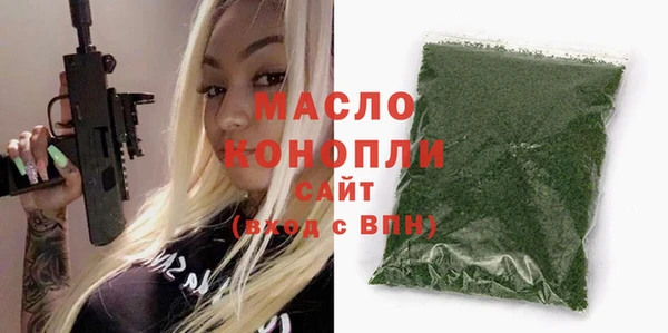 эйфоретик Вяземский