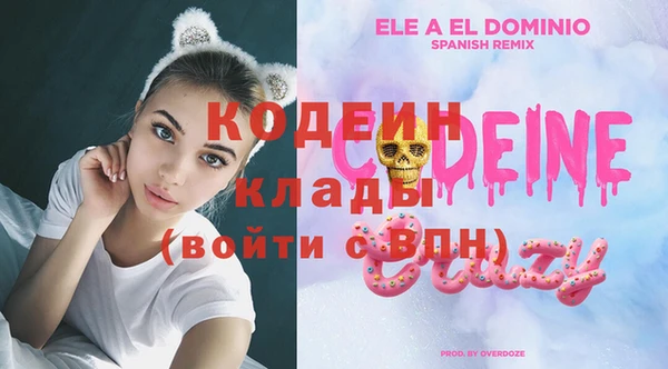 эйфоретик Вяземский